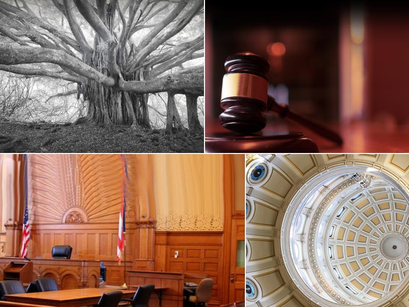 Goodman & Wallace PC