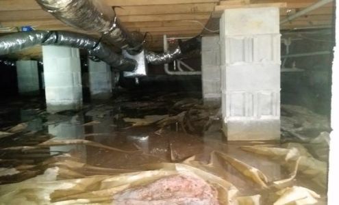 Environmental Consulting & Testing Munfordville Kentucky 