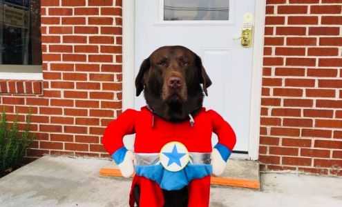 American Insurance Center