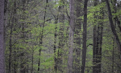 Bookkeeping Solutions