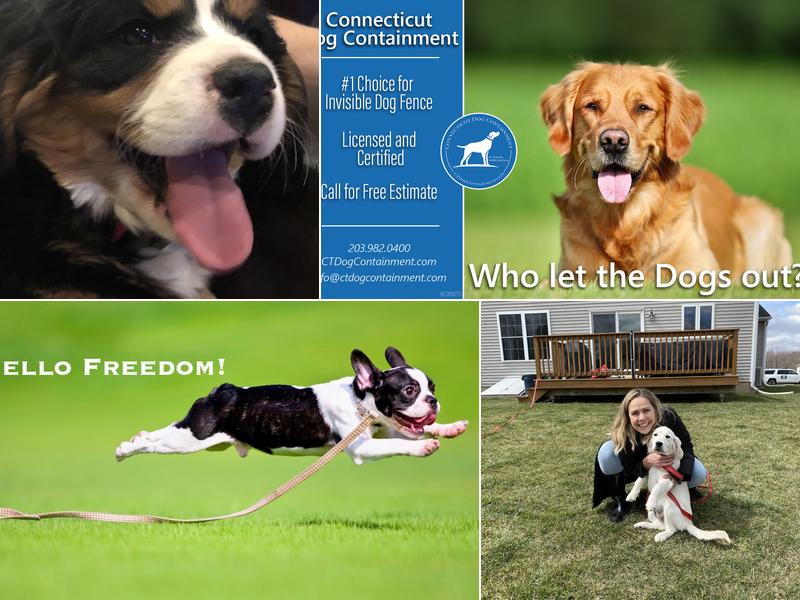 American Pet Containment, LLC