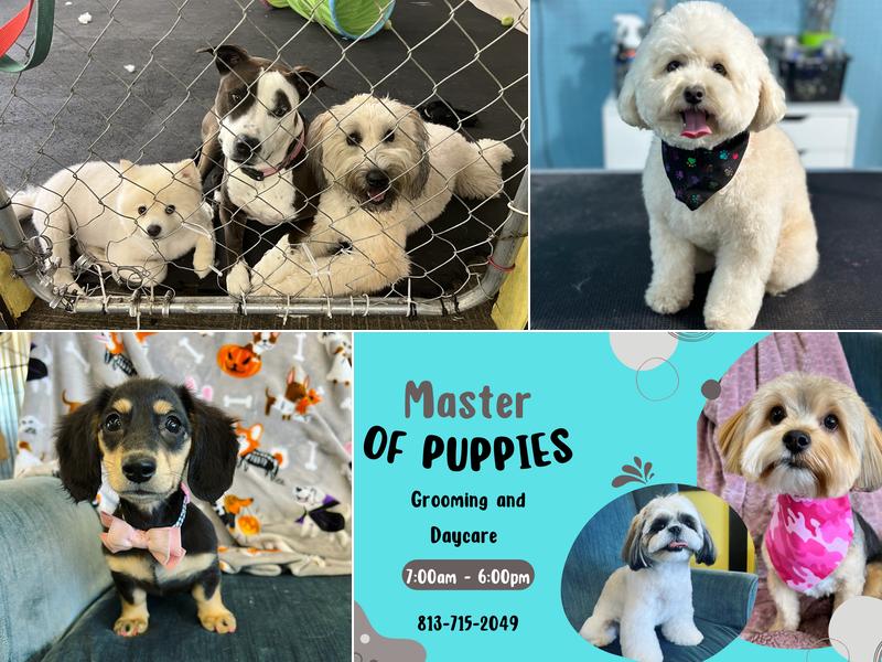 Guarneri Grooming Salon