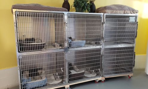 Awe for Pet's Sake Pet Resort