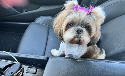 Doggie Do's 601 N Hamilton St, Dalton Georgia 30720