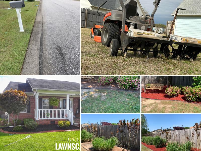 D.N.A Lawn Care and Landscaping
