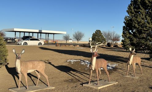 Phillips 66 Springer