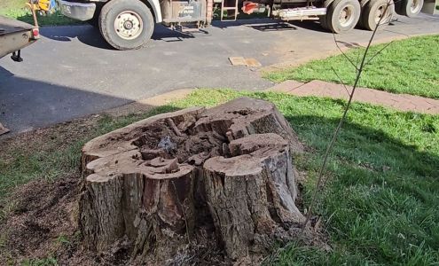 Hand-Shake Tree Service 4684 Miller Rd, Silver Springs New York 14550