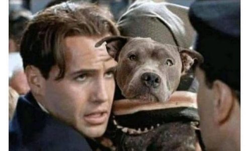 Sharon L. Zavalanski, CPA