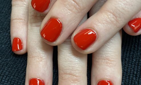 Alchemy Nail Studio 2101 Greentree Rd, Pittsburgh Pennsylvania 15220