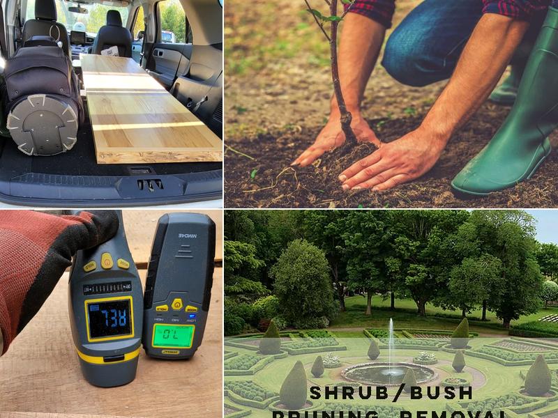 Winchendon Wood - Tree Service