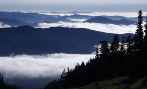 Michael D. Waxman NOTARY PUBLIC