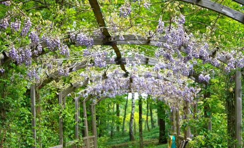 The Healing Garden Massage