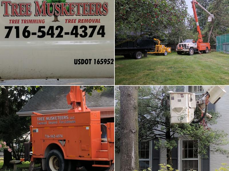 Tree Musketeers LLC