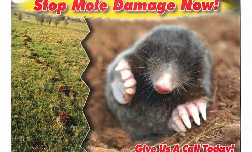 Chagrin Valley Pest Control