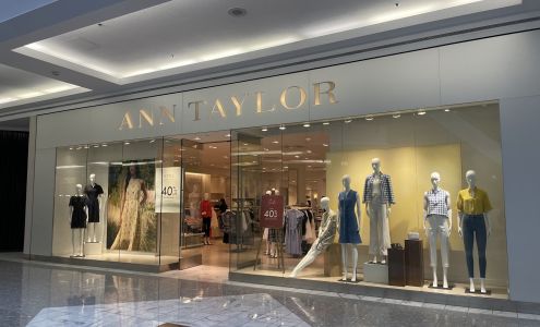 Ann Taylor