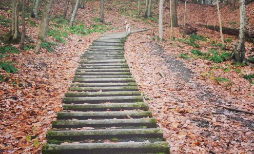 Howard Hanna Ithaca - Hancock Street