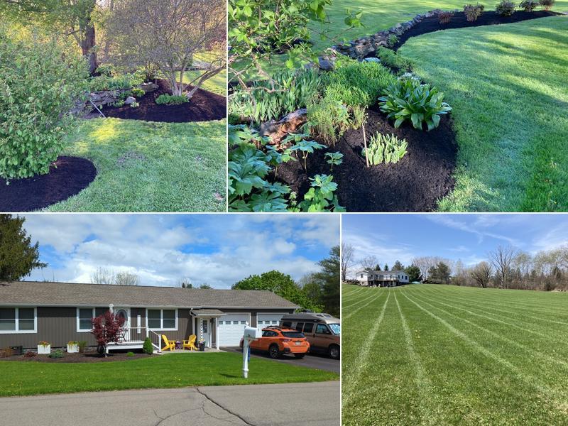 NEXT LEVEL LANDSCAPING LLC