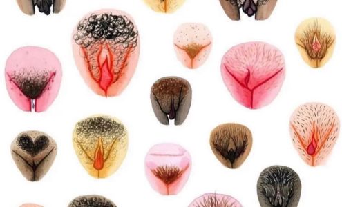 I’D Waxx That Intimate Skincare Studio