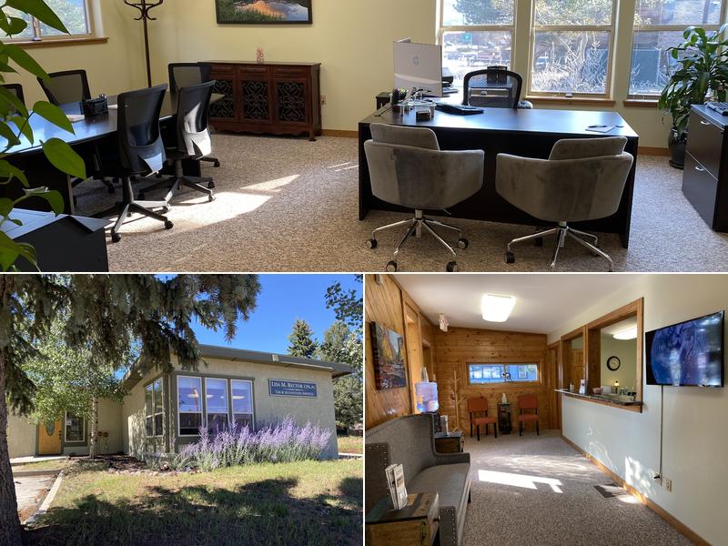 Lisa M Rector CPA PC