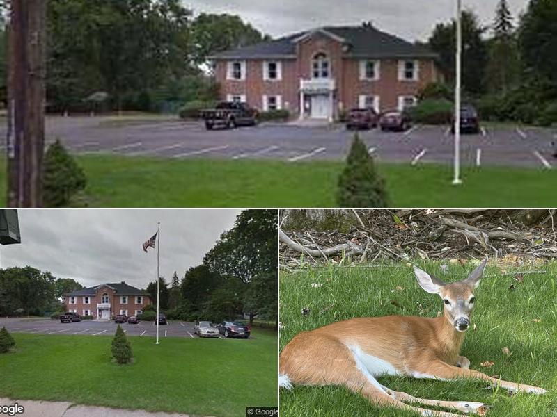 Long Island CPA : Gargiulo & Co CPAs