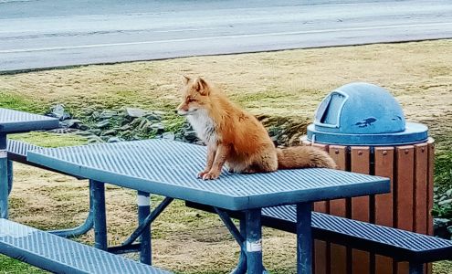 Unalaska Public Library Unalaska