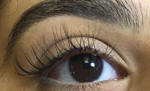 Bold & Beautiful Lashes & Brows