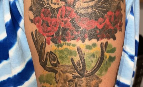 Artistic Binge Studio