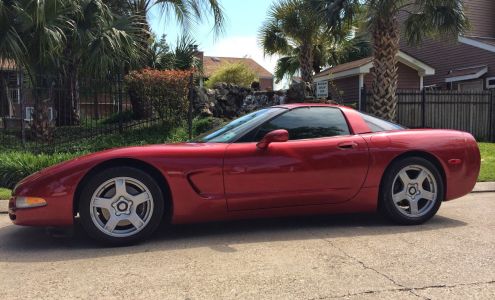 Tinted Concepts Plus