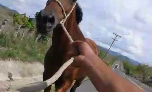 Sheridan County Health Complex Hoxie