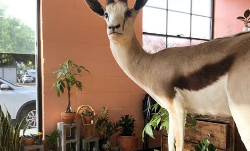 Fourth Street Tattoo 2024 N 4th St Ste B, Coeur d'Alene Idaho 83814