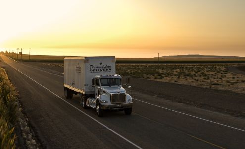 Diamondline Delivery Systems, Inc.