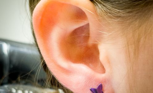 FROM THE ASHES BODY ART PIERCING & TATTOO