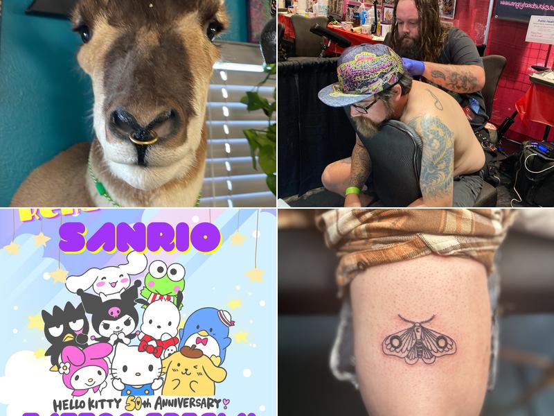 Angry Toad Tattoo & Piercing