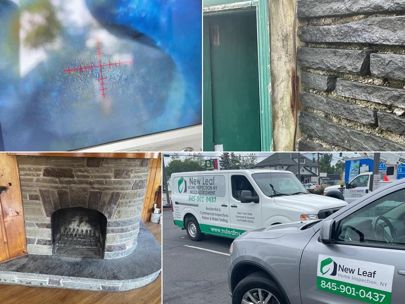 New Leaf Home Inspection NY & Mold Assessment