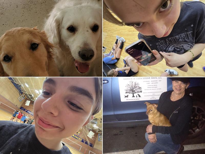 The Garden of Eden Doggie Oasis