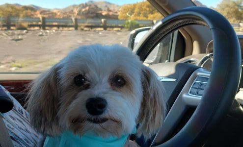 Sunny Skye’s Dog Grooming LLC 11616 Deans Rd, Willcox Arizona 85643