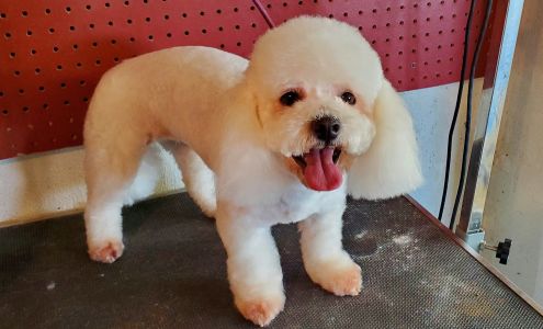 Happy Tails Grooming Salon 283 E 6th St, Eagar Arizona 85925