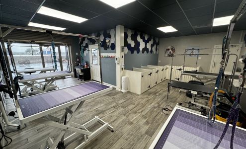 Canine & Company: A Pet Spa 16256 N Oracle Rd Ste #160, Catalina Arizona 85739