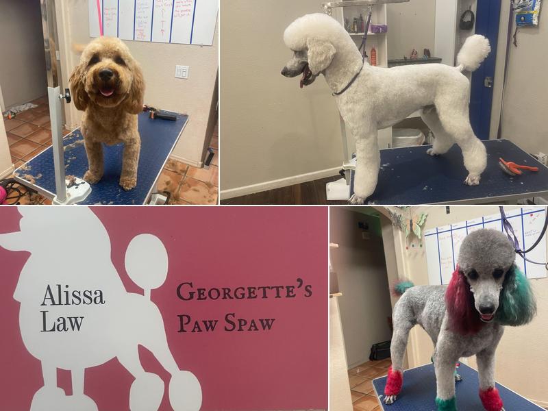 Georgette's Paw Spaw LLC