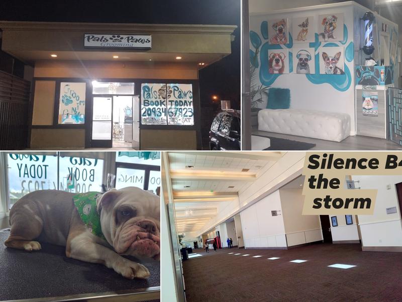 Pals with Paws grooming