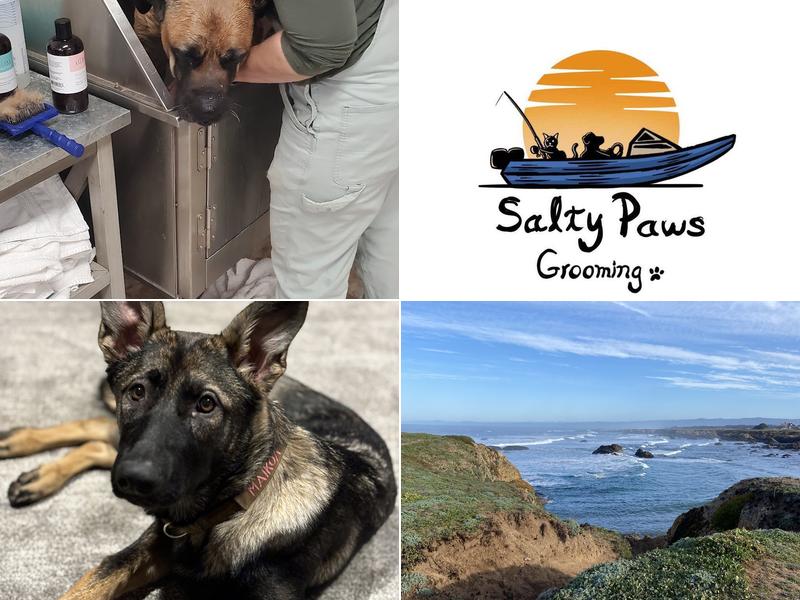 Salty Paws Grooming