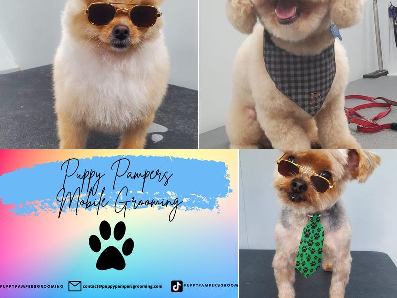 Puppy Pampers Grooming