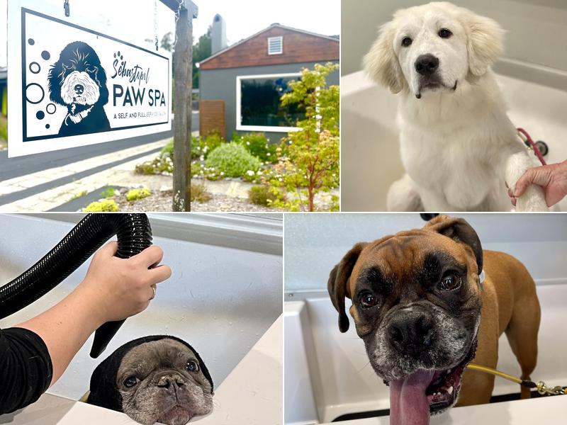 Sebastopol Paw Spa