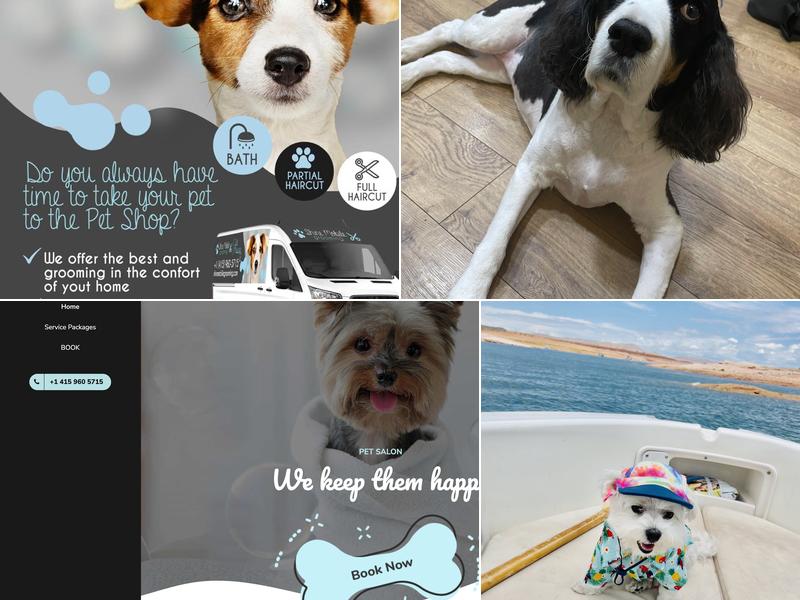 Shine Mobile Grooming