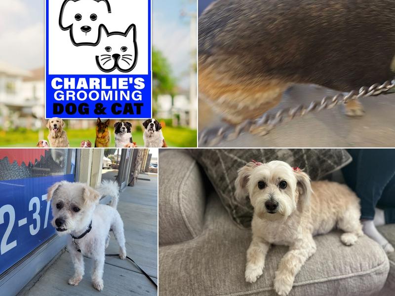 Charlie`s Grooming