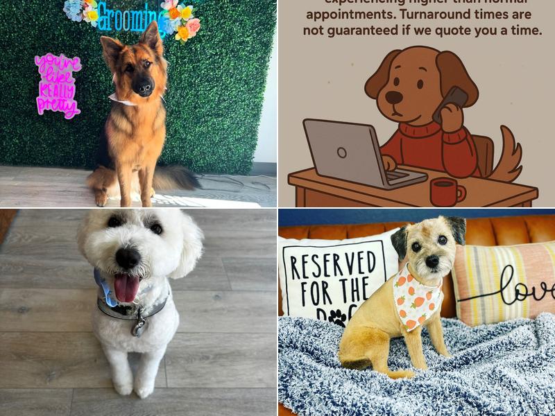 Sharp Dressed Pets Grooming