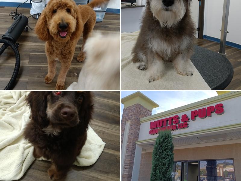 Mutts&Pups Grooming, LLC