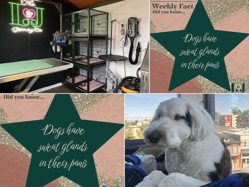 The L&J Grooming Company