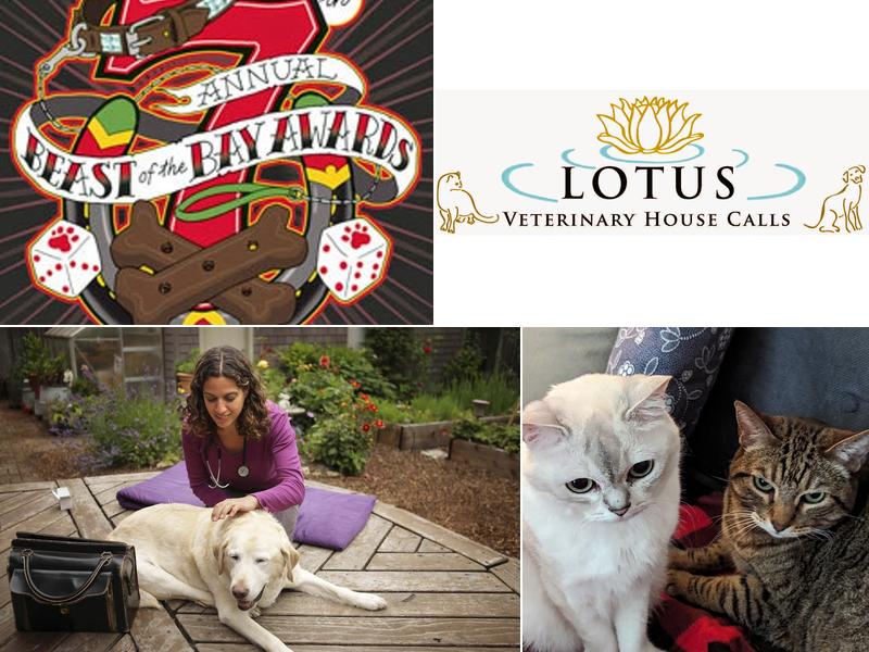 Lotus Veterinary House Calls