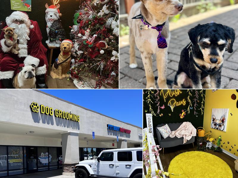 Plush Paws Dog Grooming